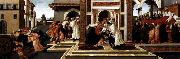 BOTTICELLI, Sandro Last Miracle and the Death of St Zenobius oil painting reproduction
